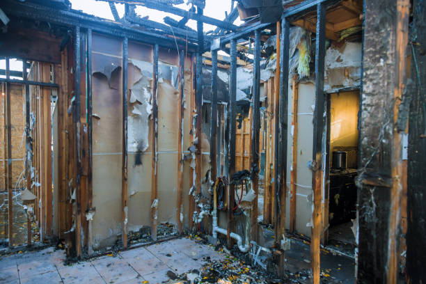 Professional Fire Damage Removal technician working in Naples, UT